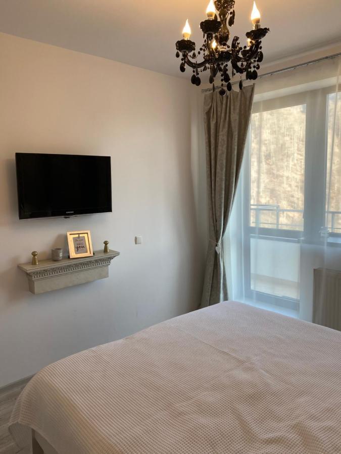 Harmony Apartment Sinaia Ngoại thất bức ảnh