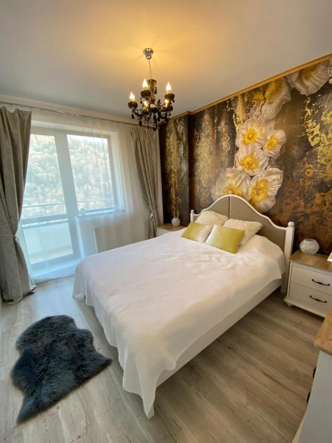 Harmony Apartment Sinaia Ngoại thất bức ảnh